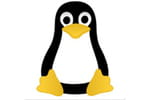 Debian, championne des distributions Linux pour serveur