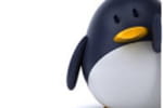 Les utilisateurs de Canonical Ubuntu pass&eacute;s au crible