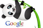 Google Panda 3.8 d&eacute;ploy&eacute;