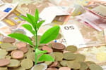 Plantes-et-jardins.com est rachet&eacute; &agrave; 100% par Gamm Vert