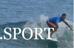 deux projets concurrents défendent le .sport.