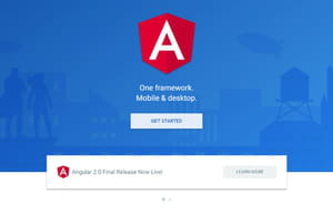 angularjs
