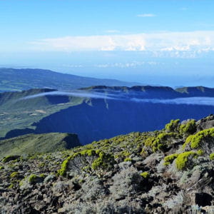 vers le piton des neiges à la réunion.
