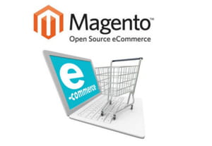 il y a près de 5 000 extensions proposées sur la boutique magento