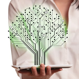 l'arbre artificiel constitue un mécanisme prometteur de capture du co2.