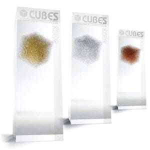 les cubes d'or 2009