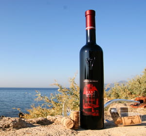 le syrah de lérins a obtenu la médaille d'or au concours mondial des syrah avec