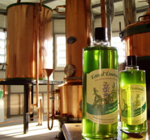 l'eau d'emeraude est distillée pour obtenir un alcool à 50% de volume.