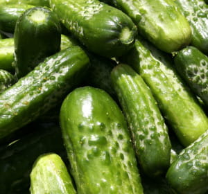 la production de cornichons a diminué de 86,2% en vingt ans.