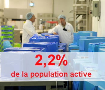 le nombre d'emploi dans l'agroalimentaire est stable depuis 1970.