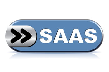 March&eacute; du SaaS en 2013 : d&eacute;penses et chiffre d'affaires