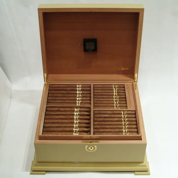 le san cristobal 5th anniversary.