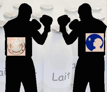wahaha vs danone.