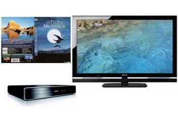 une très belle image, un lecteur blu-ray simple, et un des documentaires aux