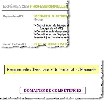 exemples de cv