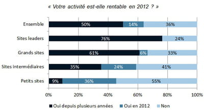 rentabilité de l'activité des e-commerçants français en 2012