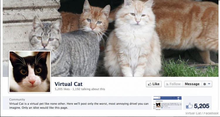 virtual cat