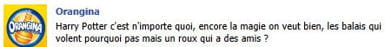 l'origine de la polémique.