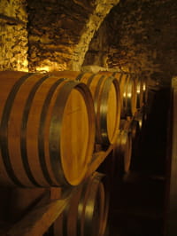 cave vin