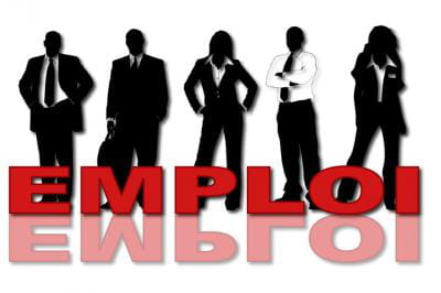 Informatique : des offres d'emploi toujours plus nombreuses Informatique : des offres d'emploi toujours plus nombreuses