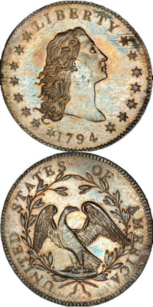 flowing hair dollar