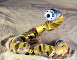 snakebot est un robot serpent. suite à une récente découverte sur les serpents à