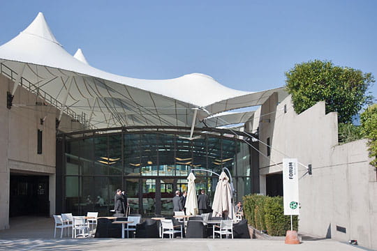 forum city evergreen tafvrnomasbnldk forum city evergreen tafvrnomasbnldk
