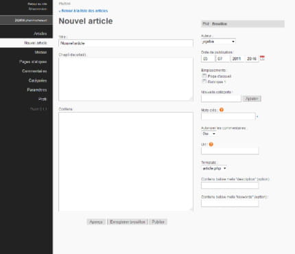 copie d'écran de création d'article